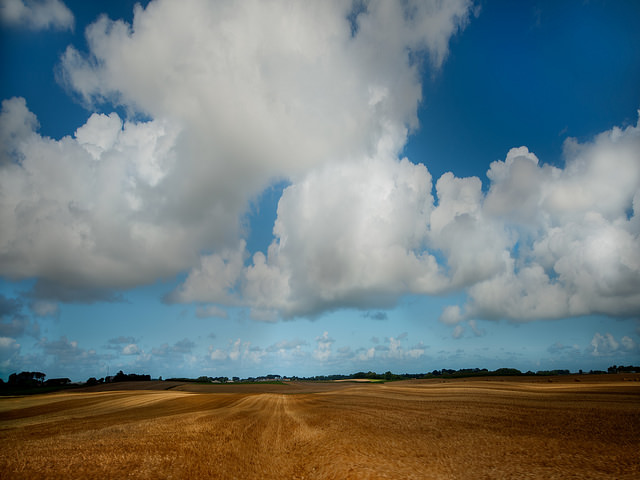Near where  Van Gough was buried
